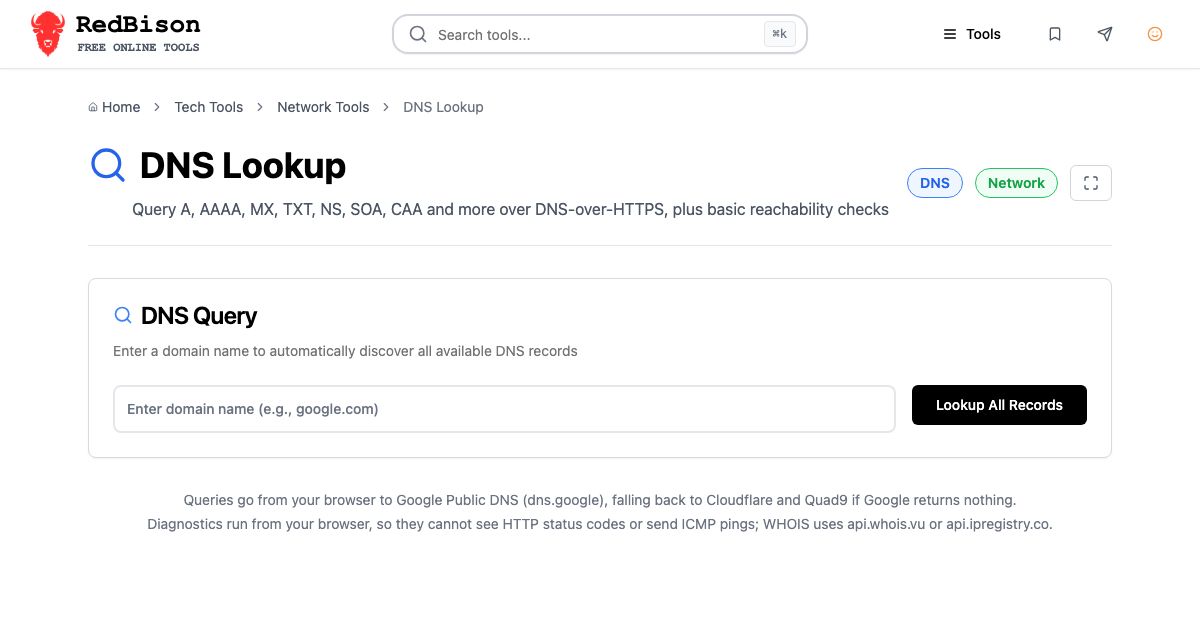 Screenshot of RedBison's DNS Lookup running in the browser